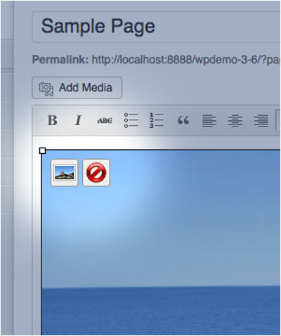WordPress - Edit or Delete a Picture